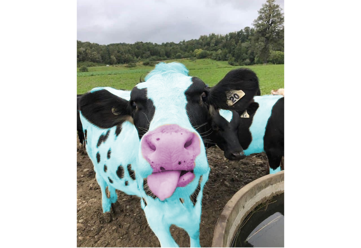 Kids drinking milk